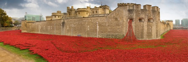 TOWERPOPPIESfinalweb